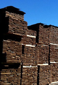 Stacks of Sapele lumber